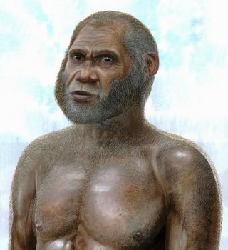 Illustration for article titled Scientists may have just discovered a brand new species of human